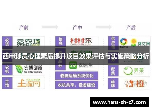 西甲球员心理素质提升项目效果评估与实施策略分析